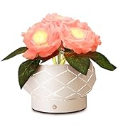 AMWGIMI Roses Flower Touch Table Lamp,Rechargeable Cordless 3-Colour Dimming Battery Powered Smal...