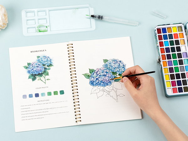 watercolor workbook for adults