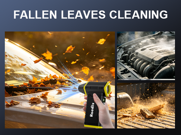 Clean up wood chips, fallen leaves, and car engines