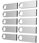 ABLAZE 8GB Flash Drive 10 Pack, Metal USB 2.0 Thumb Drives with Keychains USB Sticks Pendrives (S...