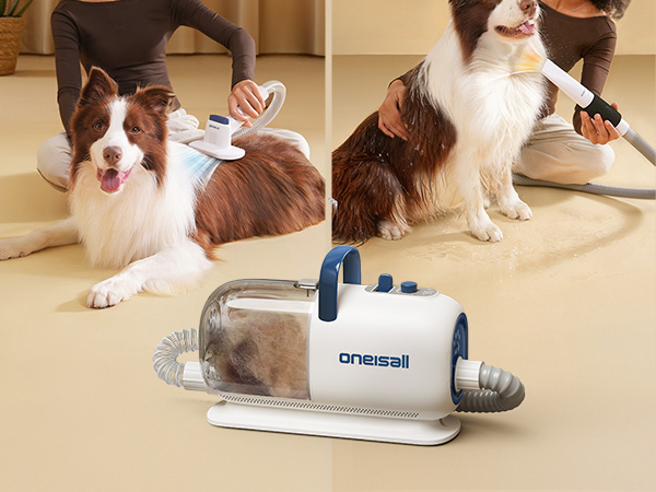 vacuum &amp; dryer
