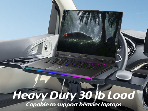 car tray