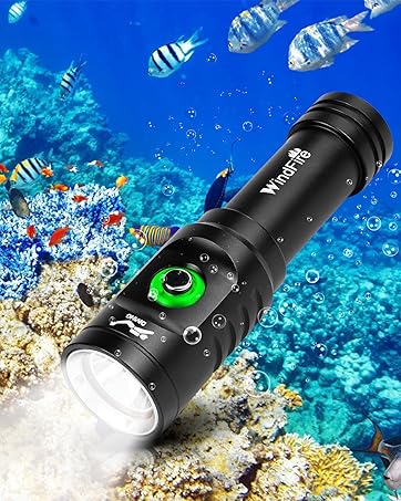 dive light