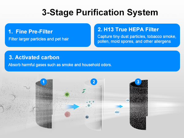 3-Stage
