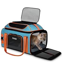 https://m.media-amazon.com/images/I/41U%2BqGl2roL.__AC_SR200,225___.jpg