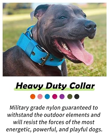 Heavy Duty Collar