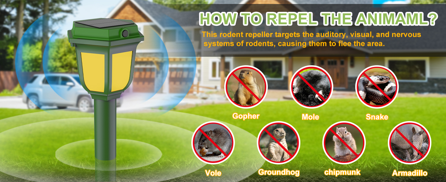 effectively repellent mouse gopher mole snake vole groundhog chipmunk armadillo