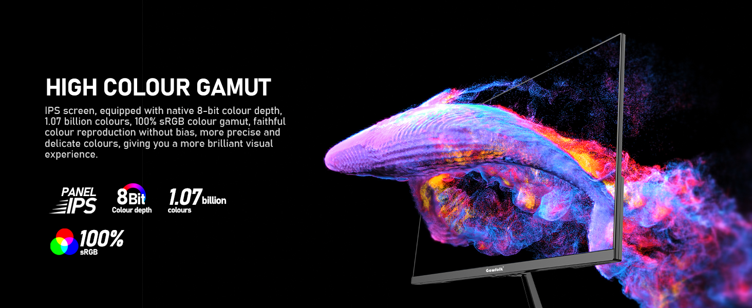 monitor