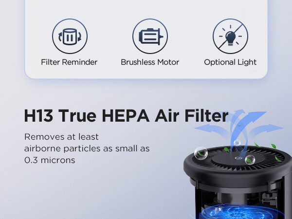 air purifiers
