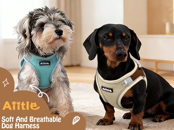 AIITLE No Pull Dog Harness and Leash Set
