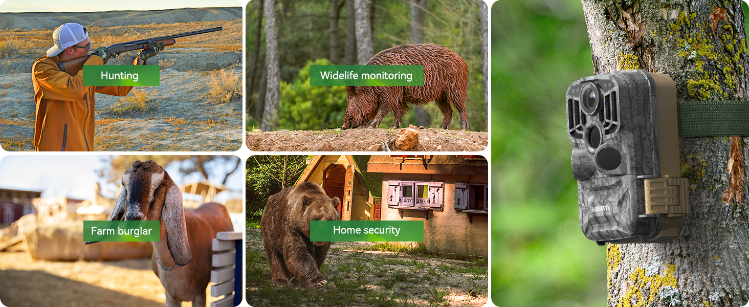 Trail cameras with good performance