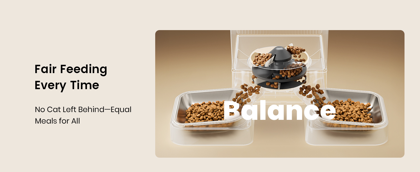 Automatic cat feeder