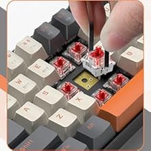 60% Wireless Mechanical Gaming Keyboard,Bluetooth 5.0/2.4Ghz,Dual mode 2-in-1 USB-C Receiver