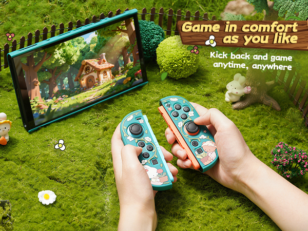 Switch 2 Protective Case