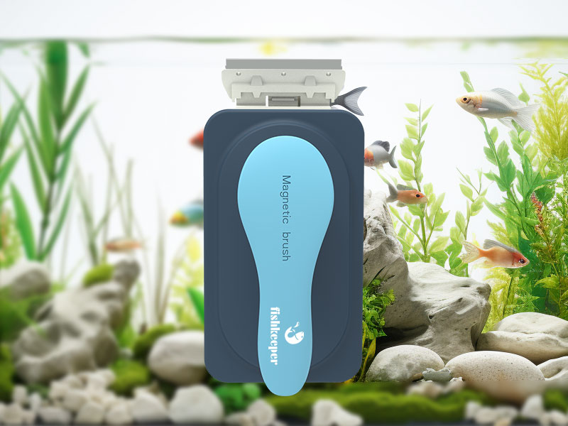 algae scraper for glass aquariums