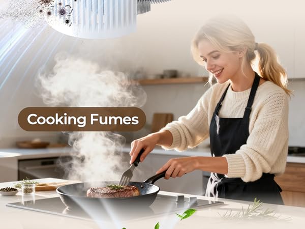 cooking fumes air purifiers for home