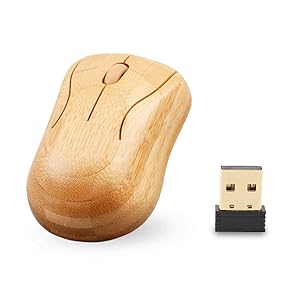 Computer Input Devices