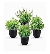 FAKE PLANT
