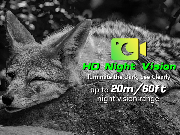 Night Vision