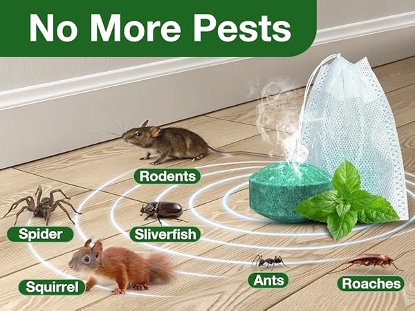 Mouse Rodent Repellent