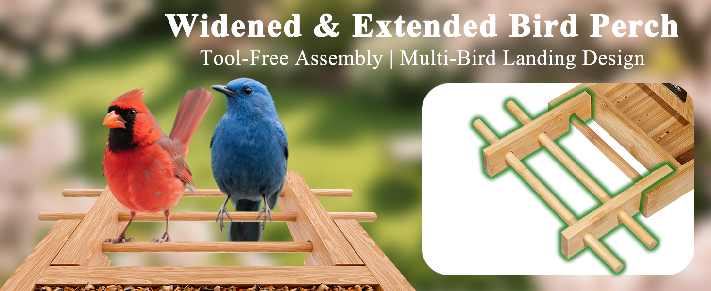 sturdy bird feeder with camera