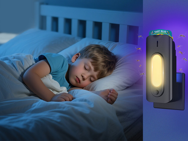 bug traps indoor for home