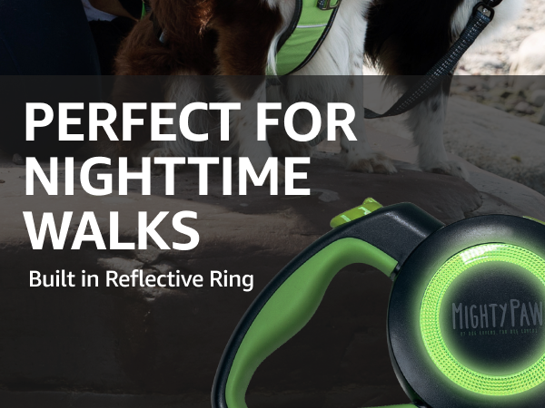 retractable dog leash 