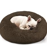 dog bed