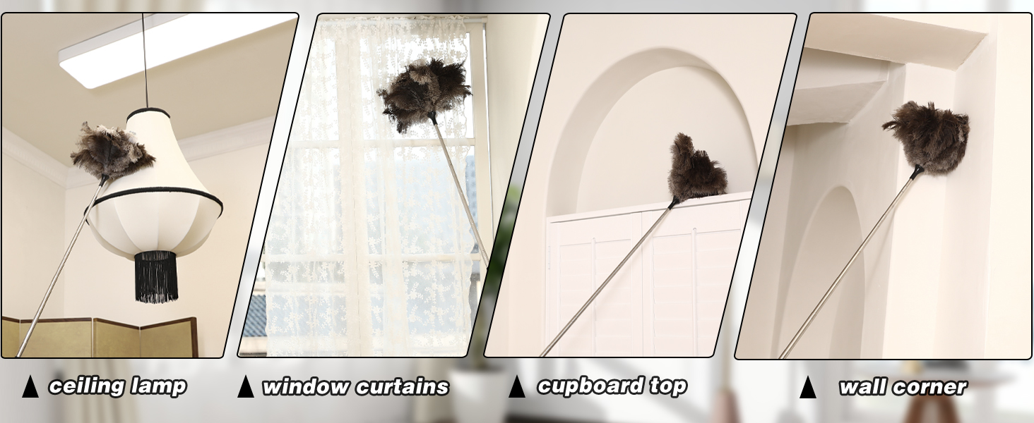 long feather duster