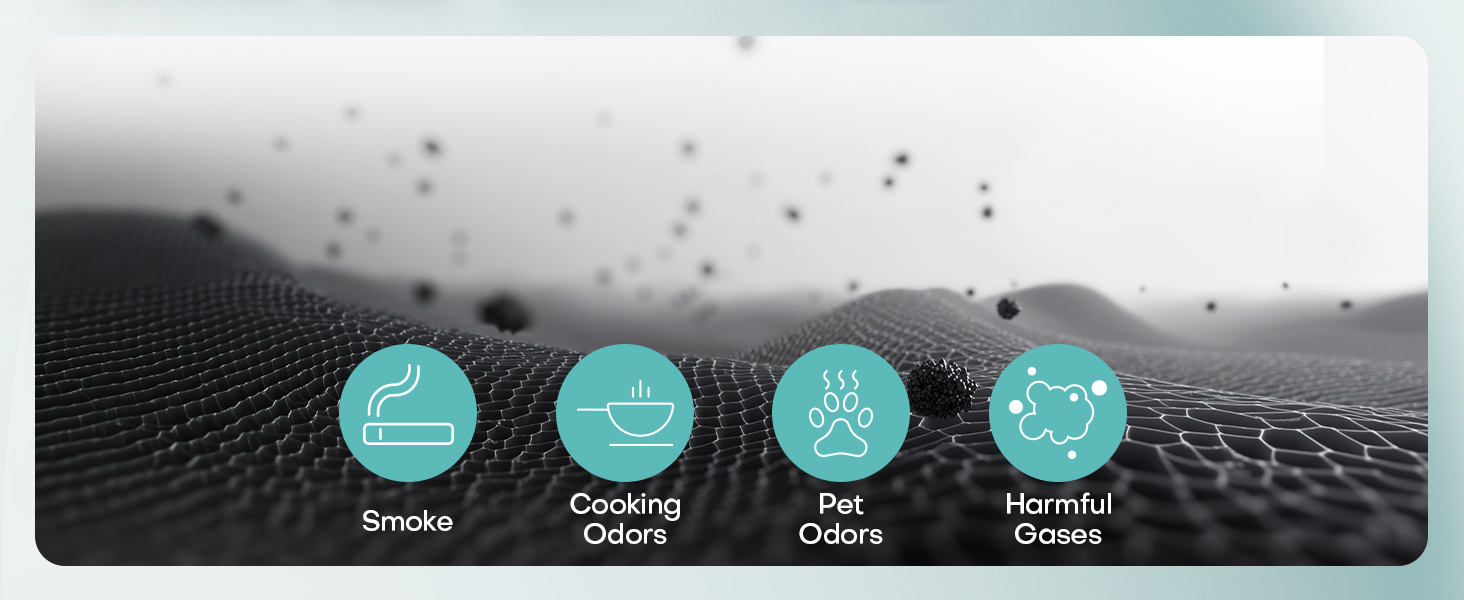 2-Pack Replacement 4-in-1 H13 True HEPA&amp;Efficiency Activated Carbonfor Pet Hair Odors Pollen Smoke