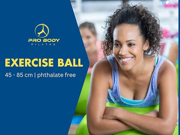 exercise balls accessories ball chair office back pregnancy ball exercise labor pregnancy ball