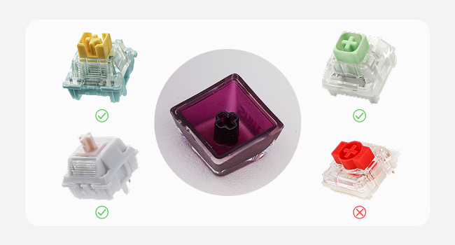 Lusterfly jelly kecaps set