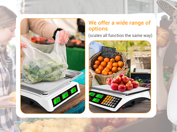Commercial food scale