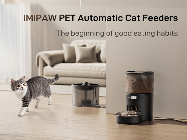 Automatic cat feeder and water dispenser