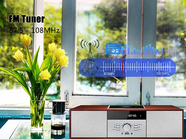 FM radio compact cd player