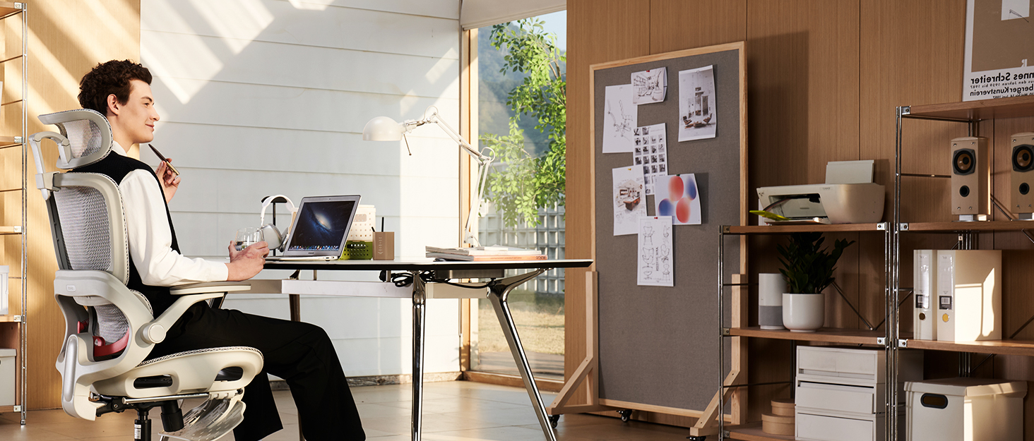 SIHOO B100 Ergonomic Office Chair