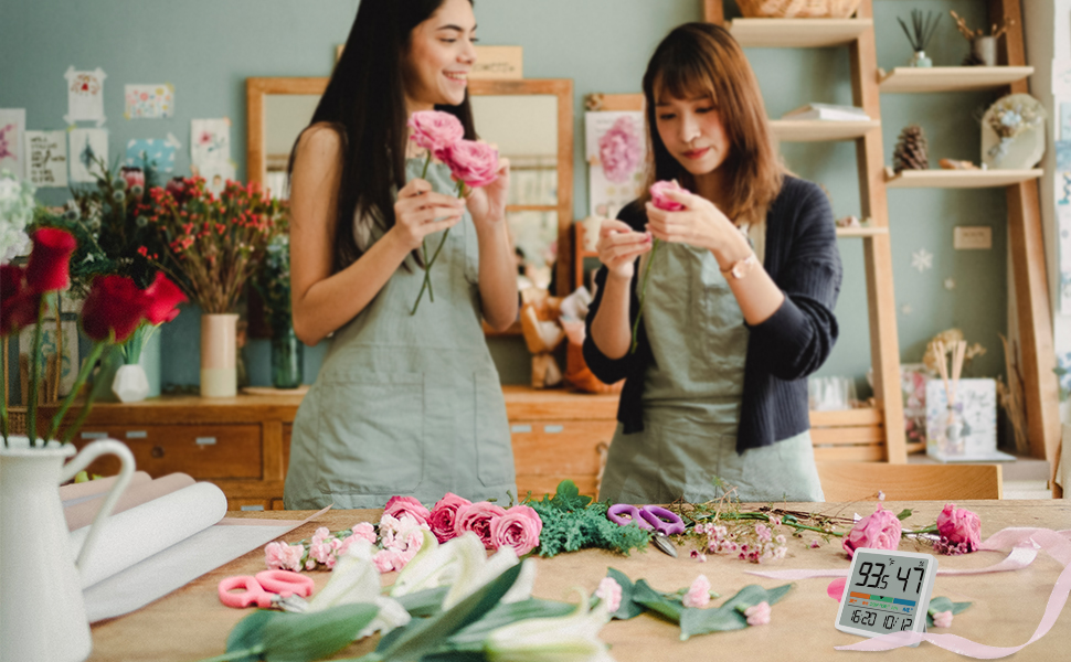 thermometer for home