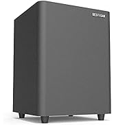 BESTISAN 6.5’’ Subwoofer, Powered Home Audio Sub woofer with Deep Bass in Compact Design, for Stu...