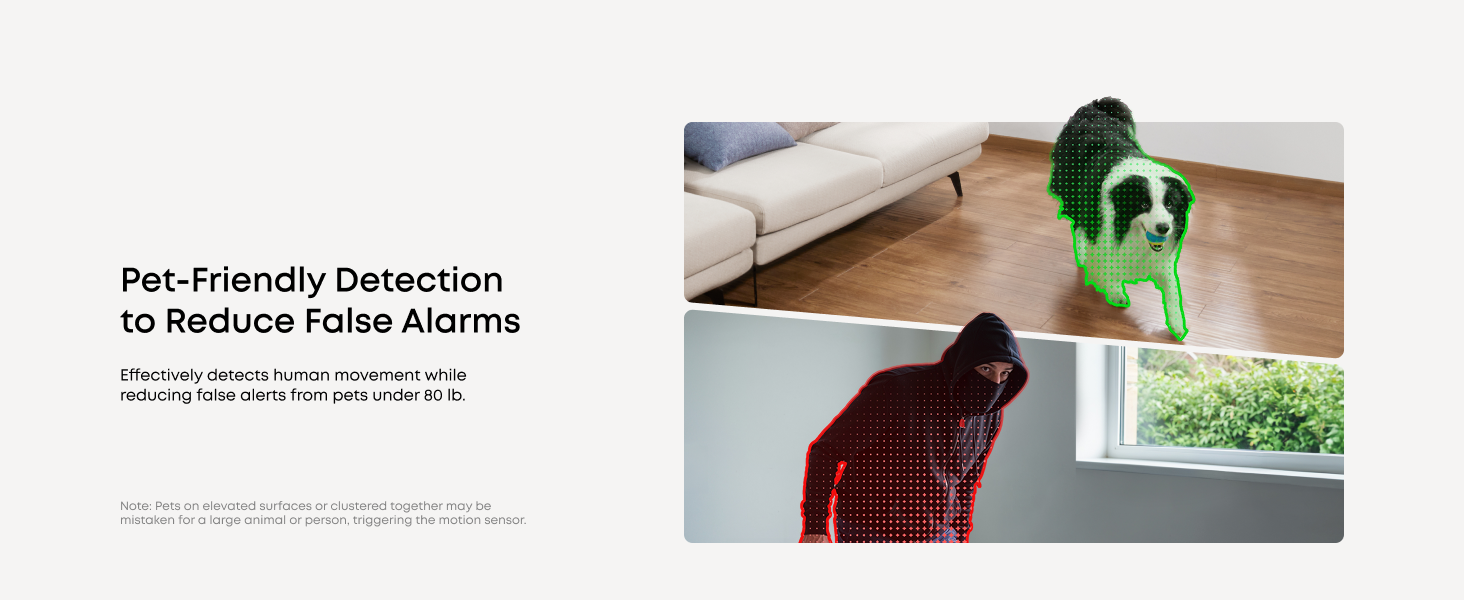 Pet-Friendly Detection to Reduce False Alarms