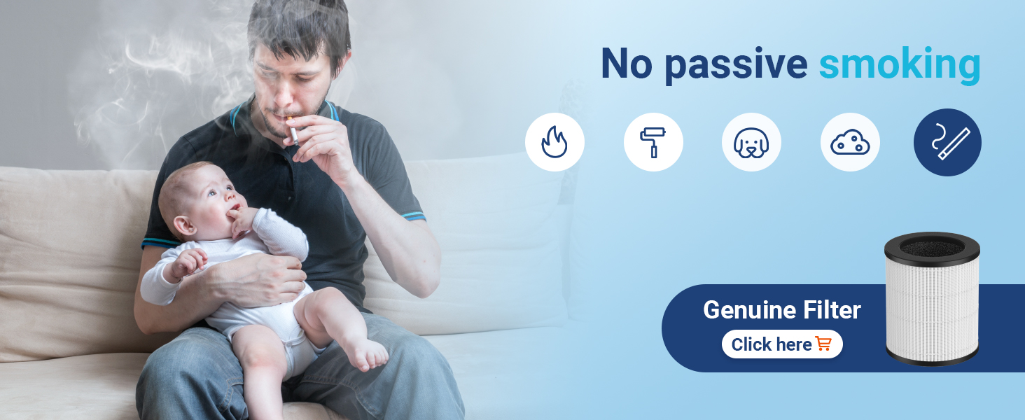 air purifier for smoke