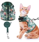 BINGPET Cat Harness and Leash Set Escape Proof for Walking,Step-in Harness with Lightweight Soft ...