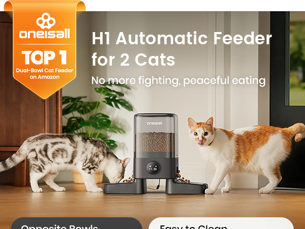 oneisall automatic cat feeder for 2 cats