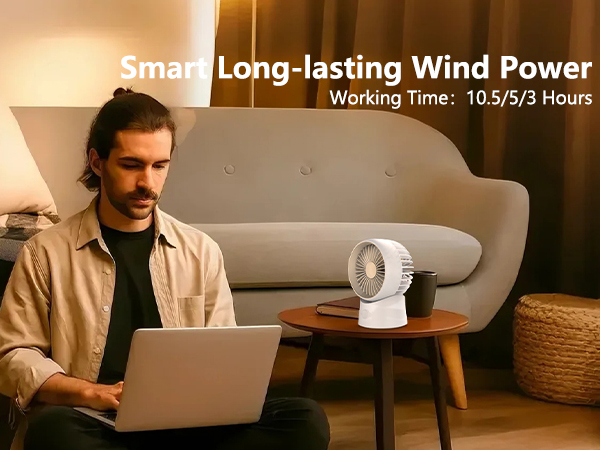 Mini Desktop Circulating Fan