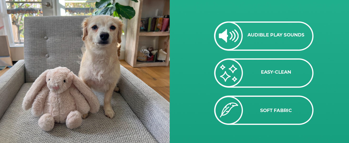 dog toys for large dogs