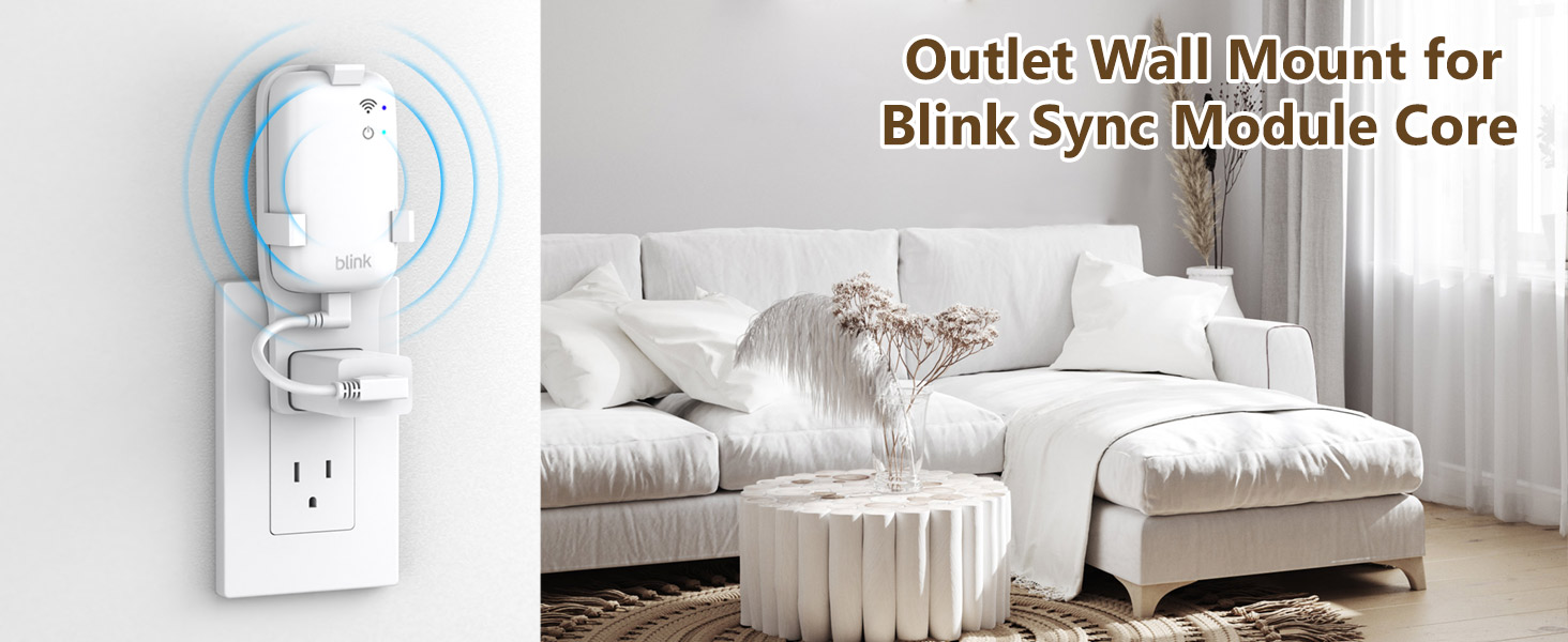 blink sync module mount
