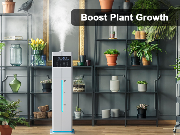 cool mist humidifiers for bedroom