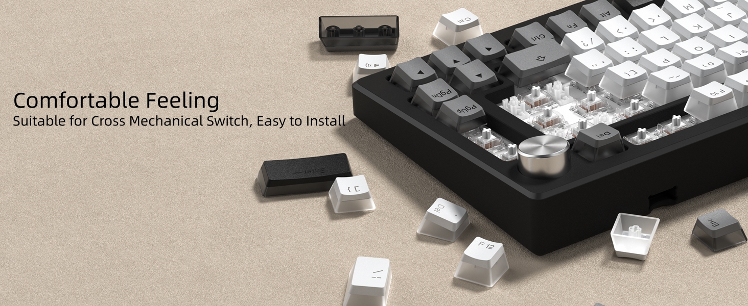 PBT Shine Through Keycaps for mechanical keyboard, Pudding Keycaps 60% 75% 100% Keyboard