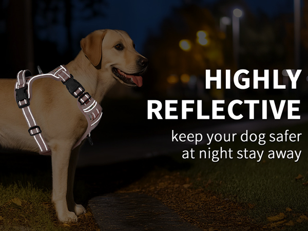 dog harness for large dog