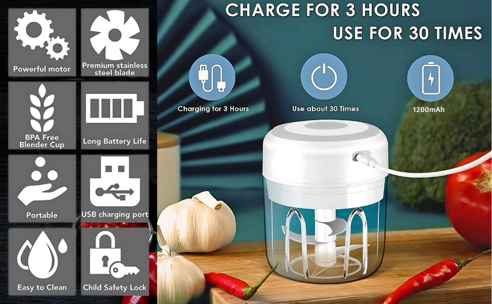 Mini Electric Food Processor and Garlic Chopper
