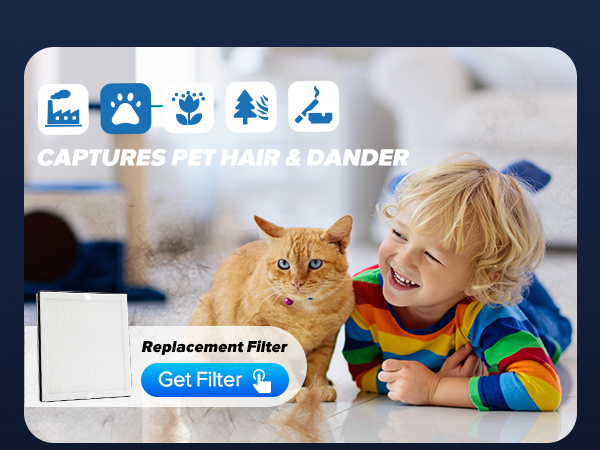 air purifiers for home pets